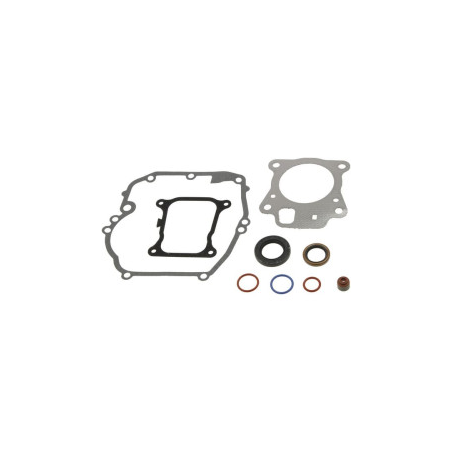 Set guarnizioni Briggs e Stratton - 597320