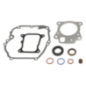 Conjunto de juntas Briggs e Stratton - 597320