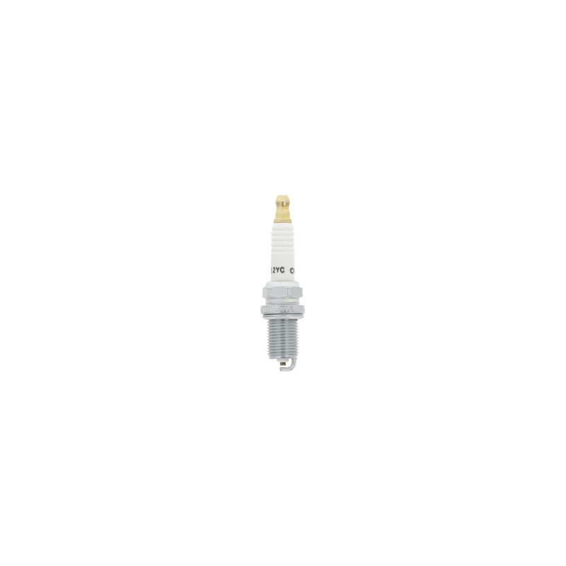 Bougie Briggs en Stratton - 691043