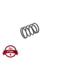 Resorte de válvula Briggs and Stratton - 691304