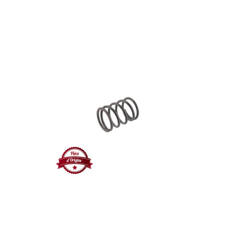 Resorte de válvula Briggs and Stratton - 691304
