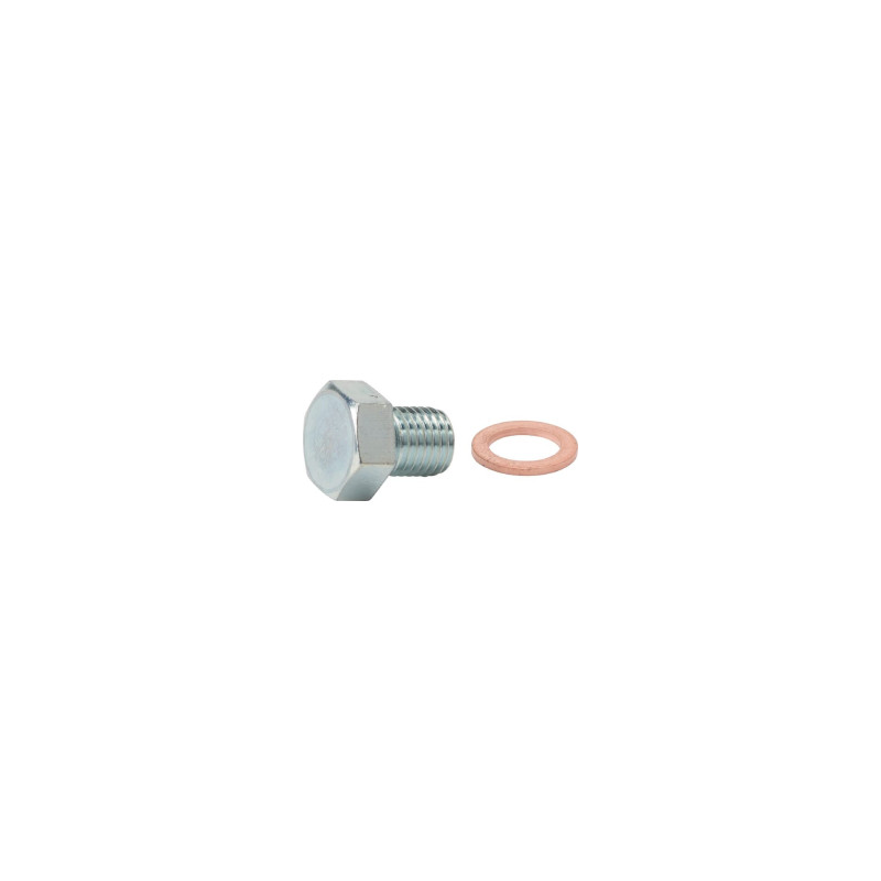 Otturatore Briggs e Stratton - 691511