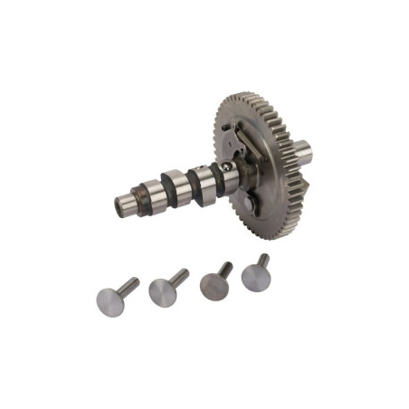 Albero a camme Briggs e Stratton - 691557 - 845649 - 807542