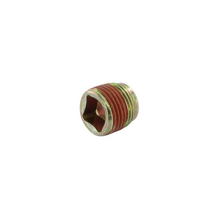 Ablassstopfen von Briggs und Stratton – 691680
