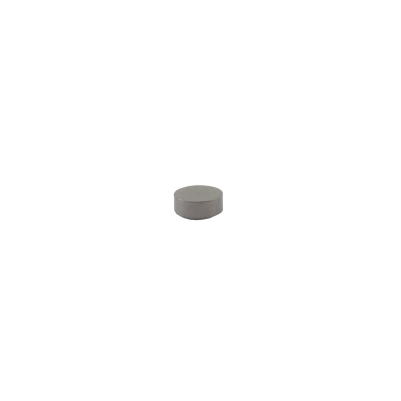 Briggs and Stratton Valve Cap - 691843