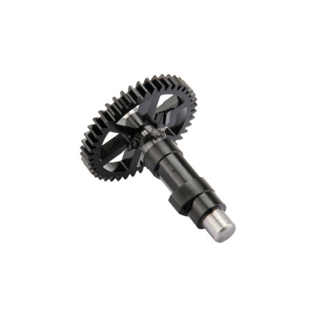 Briggs und Stratton Nockenwelle – 691998