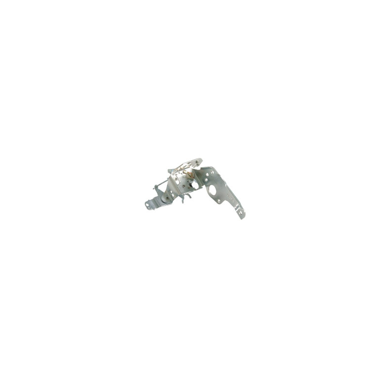 Placa Briggs e Stratton - 692021