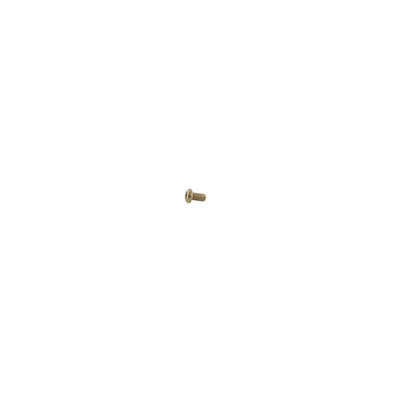 Support mounting screw Briggs and Stratton - 692849