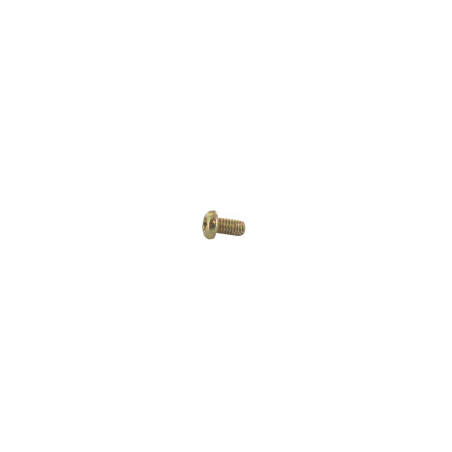 Tornillo de montaje del soporte Briggs and Stratton - 692849