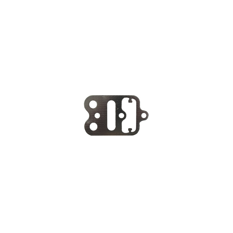 Guarnizione del cilindro Briggs et Stratton - 694088