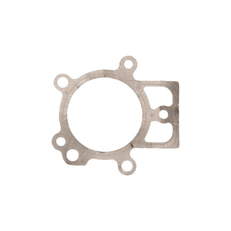 Joint Briggs et Stratton - 694872