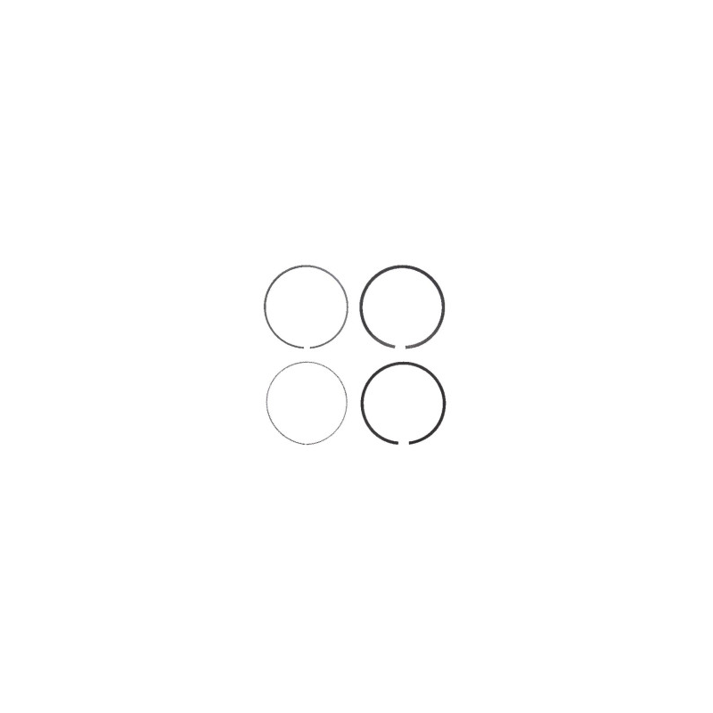 Kit Briggs e Stratton - 698375