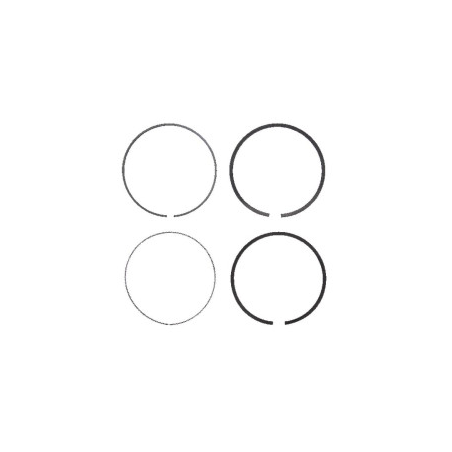 Kit Briggs e Stratton - 698375