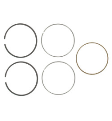 Briggs and Stratton segments - 699026