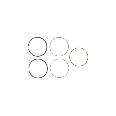 Briggs- und Stratton-Segmente – 699026