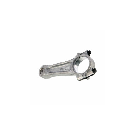 Biela Briggs and Stratton - 699699 - 796209