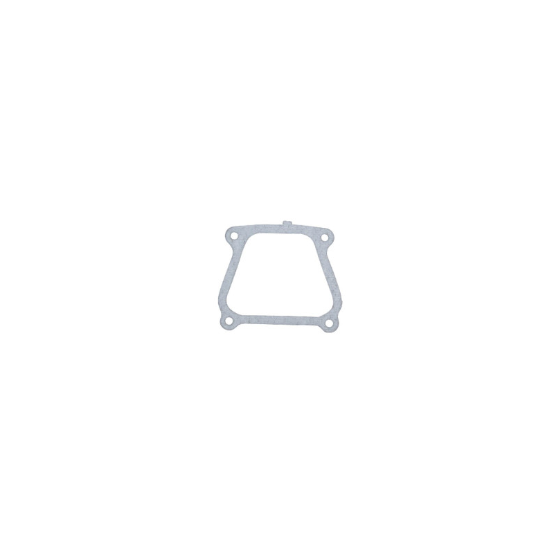 Joint Briggs et Stratton - 710024