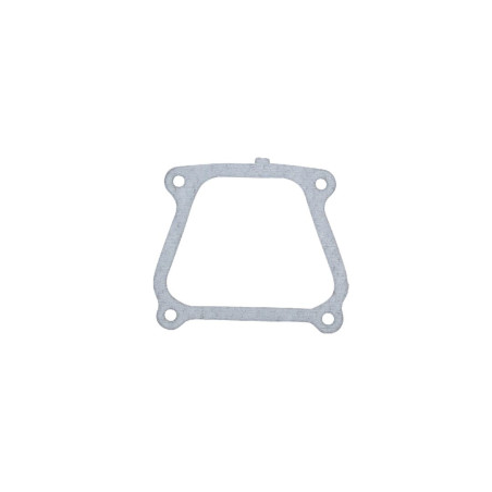 Junta Briggs e Stratton - 710024