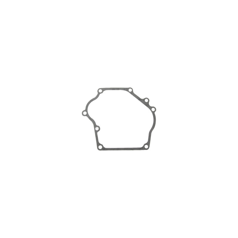 Joint Briggs et Stratton - 710141