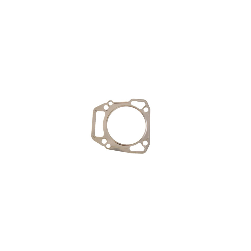 Joint Briggs et Stratton - 710539