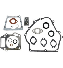 Kit Briggs e Stratton - 715124