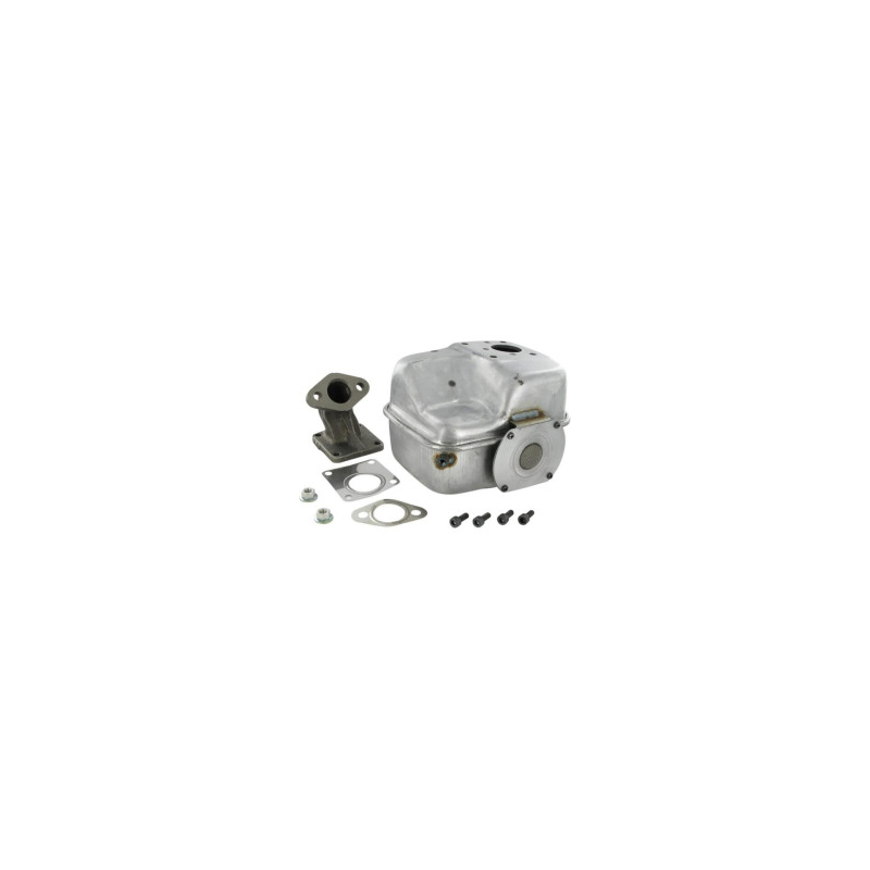 Auspuff Briggs und Stratton - 715894
