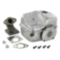 Auspuff Briggs und Stratton - 715894
