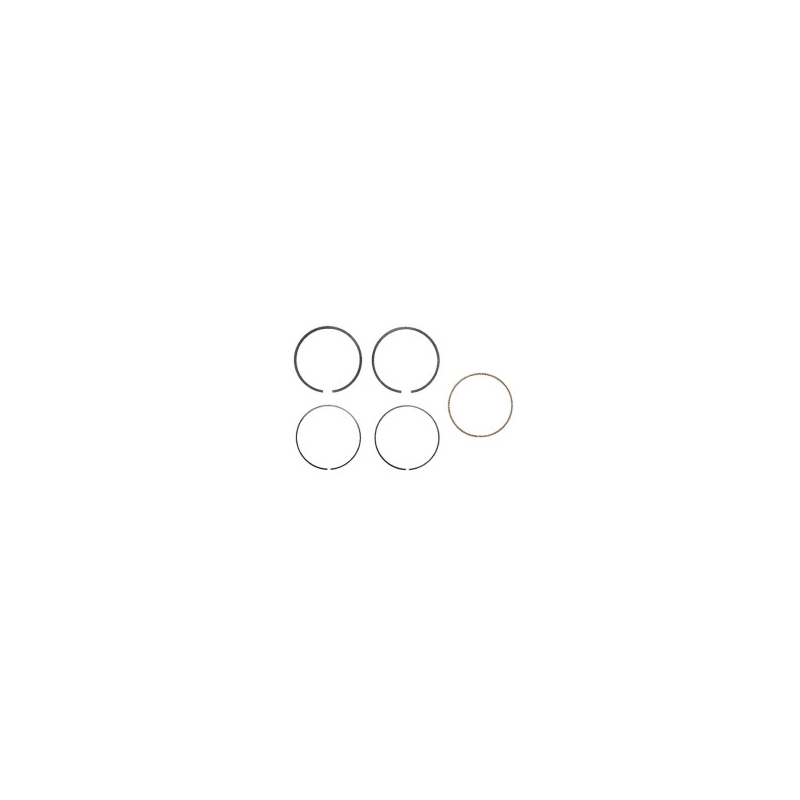 Kit Briggs e Stratton - 791098