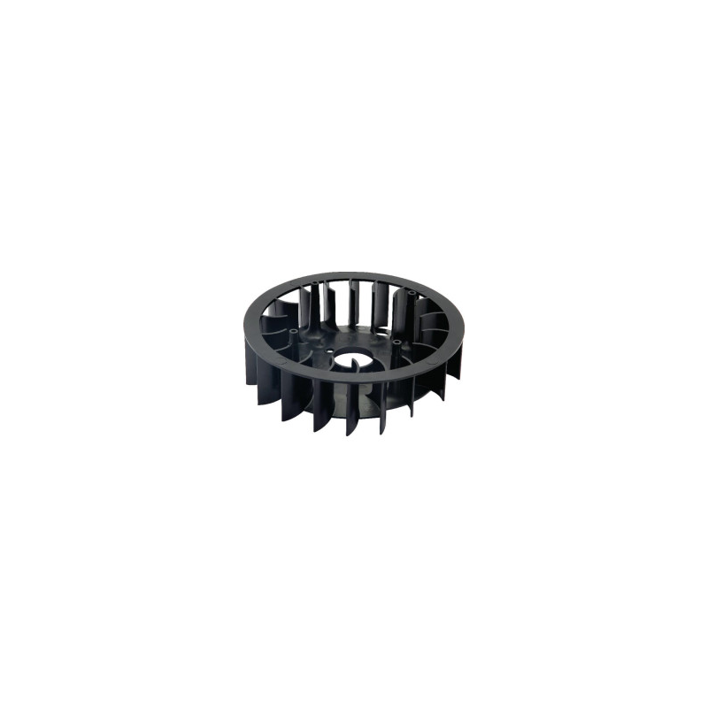 Ventola volano Briggs e Stratton - 791236