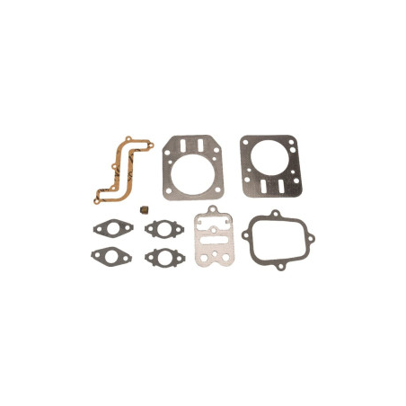 Kit Briggs e Stratton - 791798