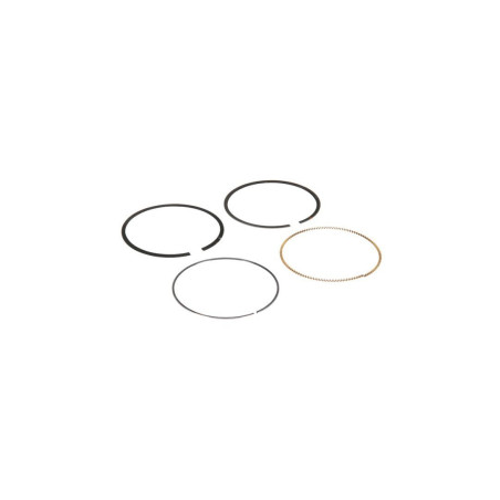 Ringset von Briggs und Stratton – 791936 – 594437