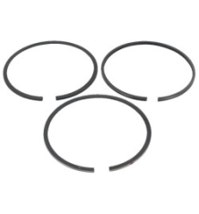 Briggs and Stratton Ring - 792073