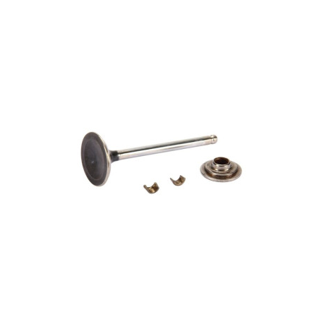 Válvula de escape Briggs e Stratton - 792868 - 695760 - 791934 - 698370 - 495856