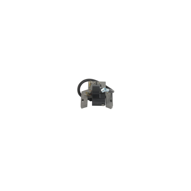 Bobine d'allumage Briggs et Stratton - 793281