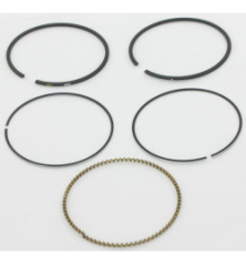 Kit Briggs e Stratton - 793517