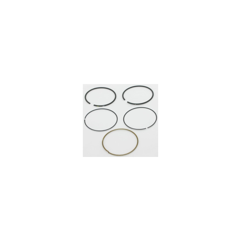 Kit Briggs e Stratton - 793517