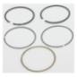 Kit Briggs e Stratton - 793517
