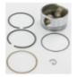 Briggs and Stratton Piston - 793518