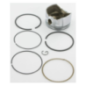 Briggs and Stratton Piston - 793519