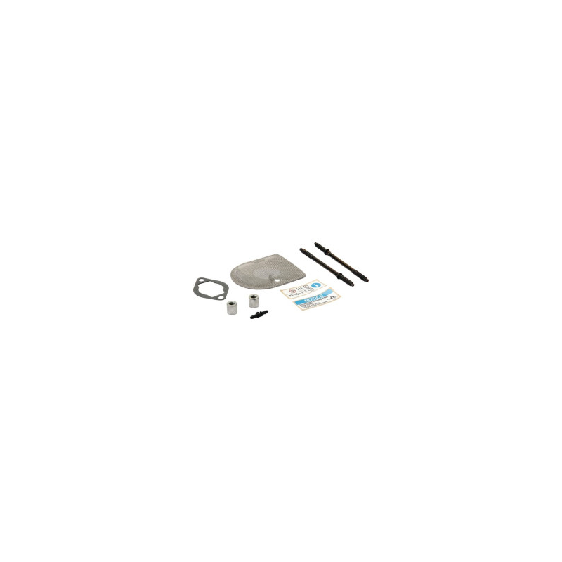 Kit Briggs y Stratton - 794482IN