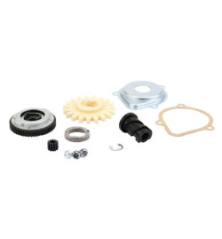 Autobus Briggs e Stratton - 795093