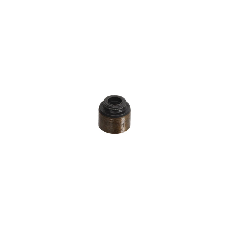 KLEPZITTING Briggs en Stratton - 795440