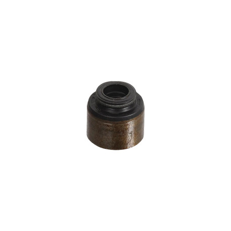 JOINT DE SOUPAPE Briggs et Stratton - 795440