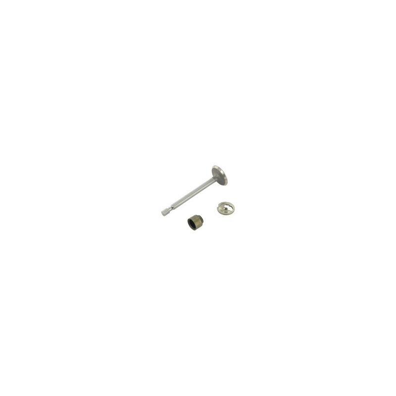 Briggs und Stratton Einlassventil - 795443