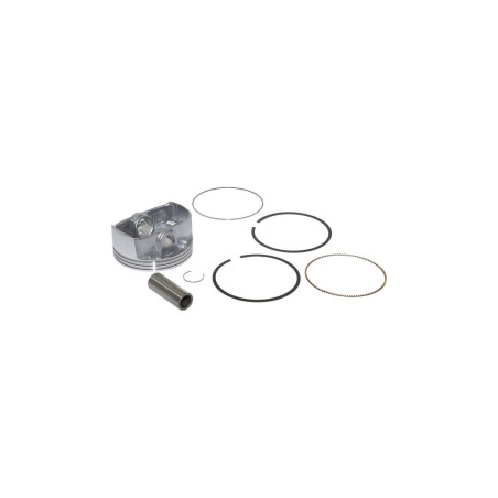 Piston complet Briggs et Stratton - 795858