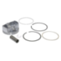 Pistón completo Briggs and Stratton - 795858