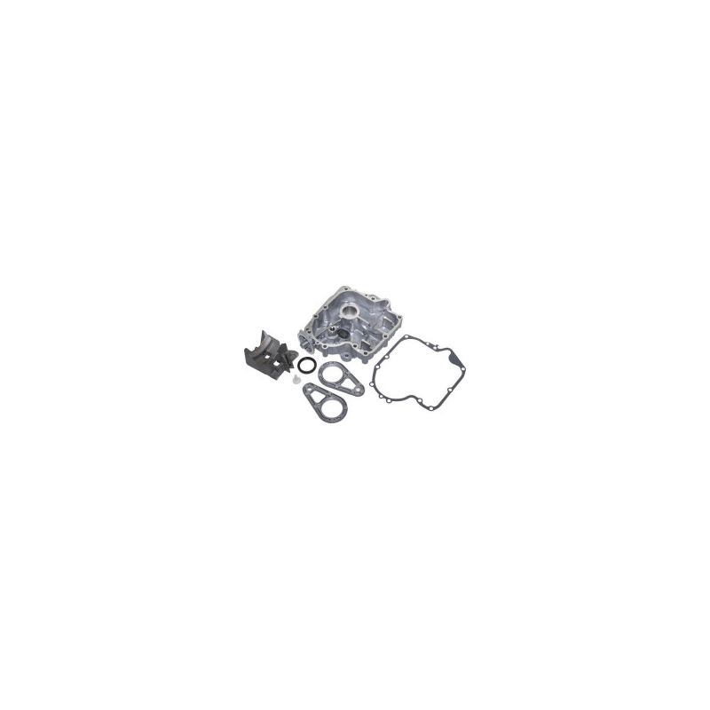 Carter Briggs e Stratton - 795938