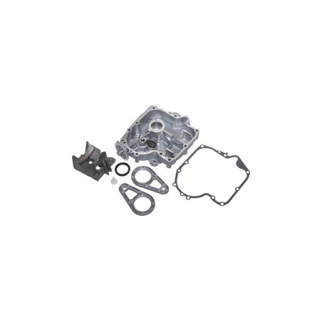 Carter Briggs e Stratton - 795938