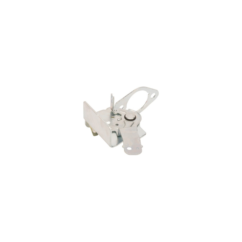 Piastra acceleratore Briggs e Stratton - 796482