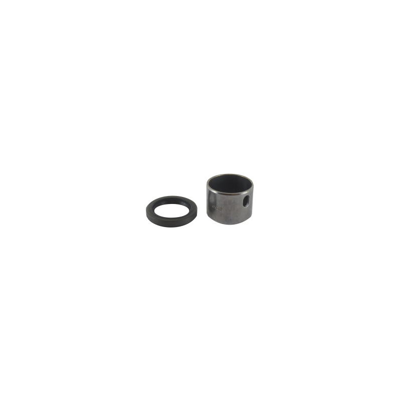 Bague de cylindre Briggs et Stratton - 797673